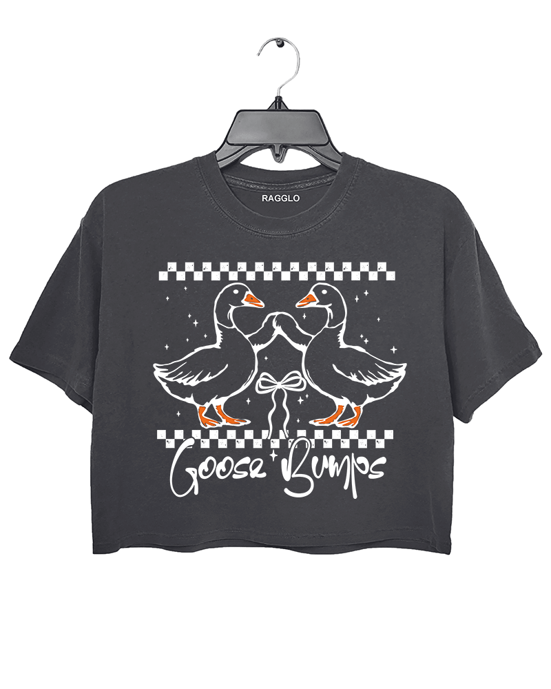 A dark gray cropped t-shirt from Ragglo featuring a "Goose Bumps" design with two geese in a playful pose, surrounded by a checkered pattern and stars.