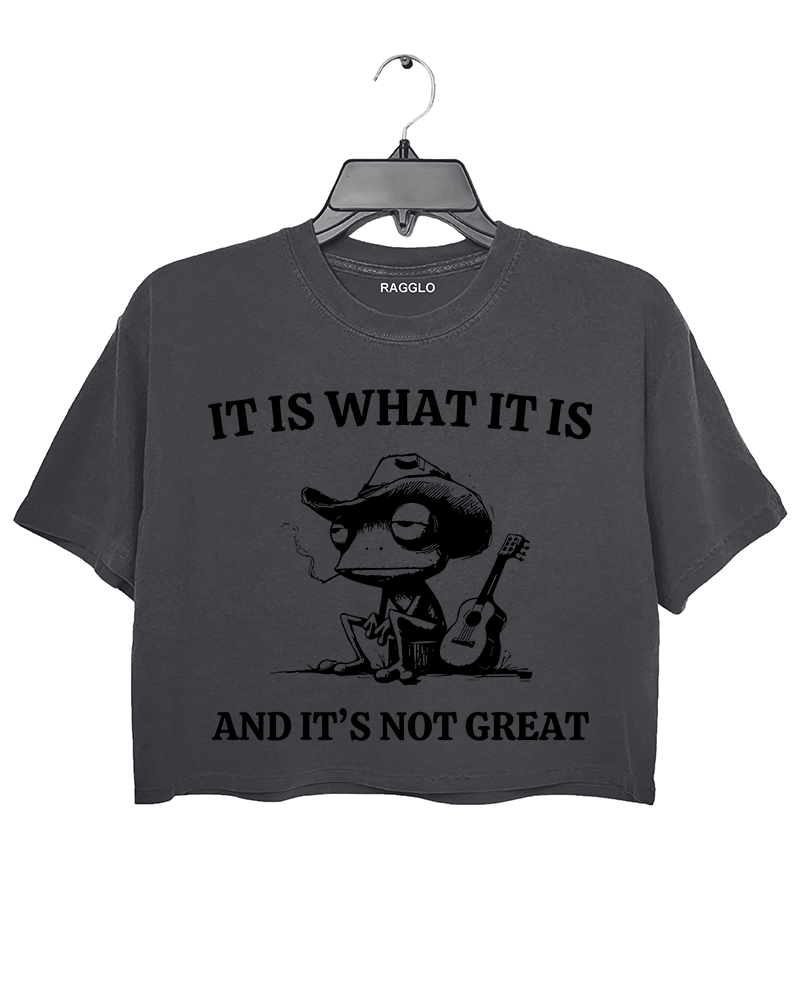 It Is What It Is And It's Not Great Crop Top
