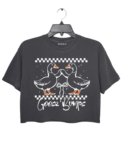 A dark gray cropped t-shirt from Ragglo featuring a "Goose Bumps" design with two geese in a playful pose, surrounded by a checkered pattern and stars.

