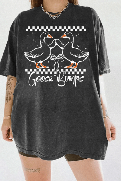 A dark gray t-shirt from Ragglo featuring a "Goose Bumps" design with two geese in a playful pose, surrounded by a checkered pattern and stars.

