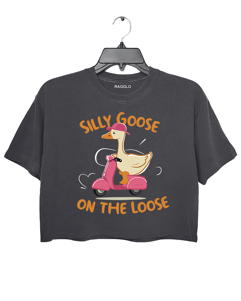 Silly Goose on the Loose Crop Top